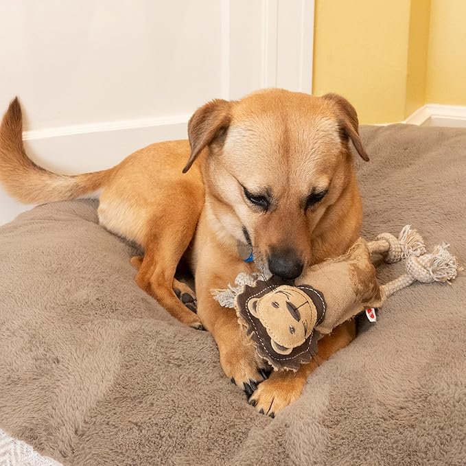 SPOT Dura-Fused Leather Jungle Animals - Dog Toy with Squeakers and Rope Limbs, Real Leather and Jute Chew Toy, Durable No-Stuffing Toy for Light to Moderate Chewers - 14in, Assorted Styles, 1 Piece