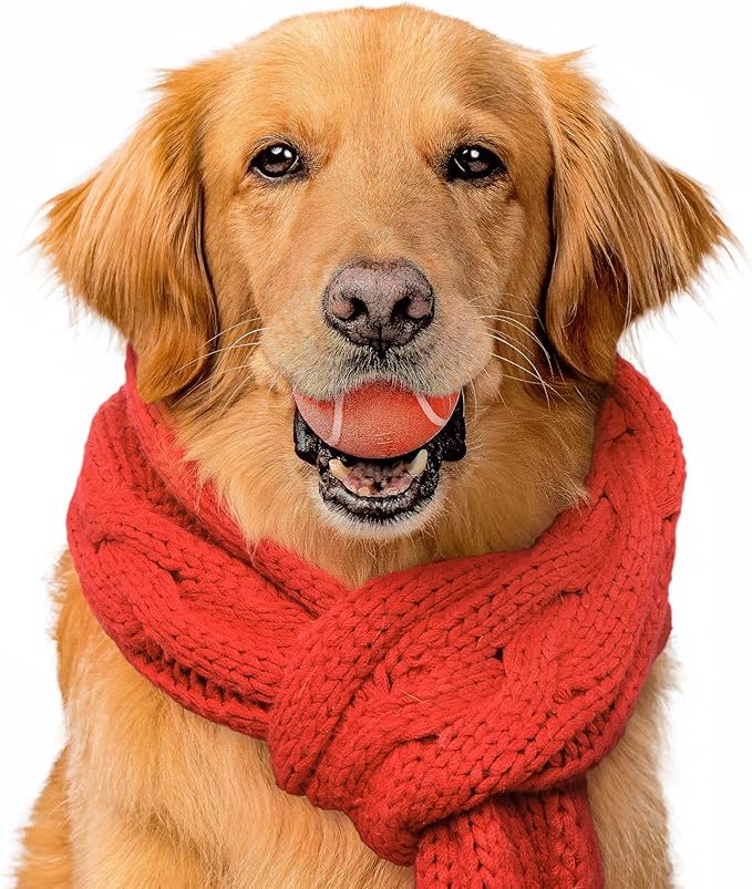 Playology Dog Toys | Squeaky Chew Ball - Bouncy Durable Floating Fetch Ball for Dogs | Medium Grandma's Gravy Scented Toy | Limited Edition Holiday Toys - Made from Non Toxic Materials