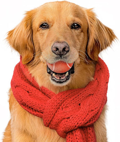 Playology Dog Toys | Squeaky Chew Ball - Bouncy Durable Floating Fetch Ball for Dogs | Medium Grandma's Gravy Scented Toy | Limited Edition Holiday Toys - Made from Non Toxic Materials