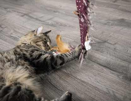 Petlinks Plume Crazy Wand Cat Toy - Randomly Selected Color, One Size