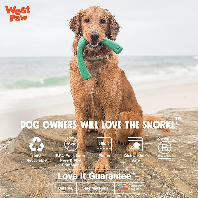 WEST PAW Seaflex Snorkl Dog Tug Chew Toy for Moderate Chewers, Made in USA, 8.25" Large, Surf