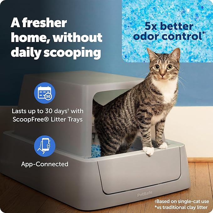 PetSafe ScoopFree Crystal Smart Self-Cleaning Automatic Litter Box - Front Entry - Uncovered Motion-Sensing Cat Box with Integrated Health Counter & App - Includes 1 Disposable Crystal Litter Tray