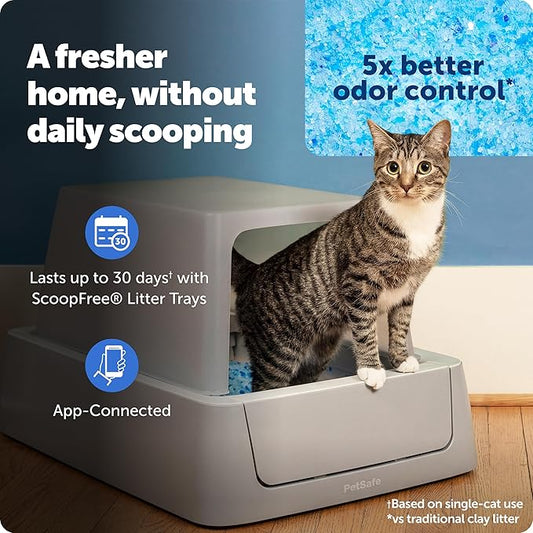 PetSafe ScoopFree Crystal Smart Self-Cleaning Automatic Litter Box - Front Entry - Uncovered Motion-Sensing Cat Box with Integrated Health Counter & App - Includes 1 Disposable Crystal Litter Tray