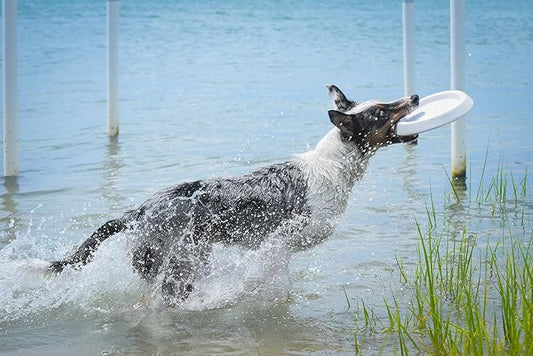 Frisbee, Floating, Waterproof, Lightweight, Durable Foam, Aerodynamic Disc for Medium and Large Dogs Puppy - Frisbee for Fetch, Catch, Play, 8.5” (White)