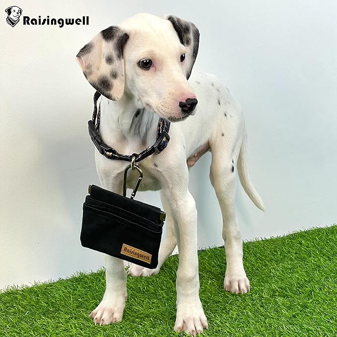 Raisingwell Dog Treat Pouch, Black Pocket Sized Pet Training Pouch, Cotton Fabric, Hand Free Dog Walking Bag with Carabiner, Self-Closing Pet Feed Snack Reward, for Pet Puppy Travel or Outdoor Use