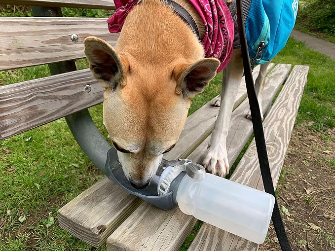Lixit Hand Held Foldable Travel Hiking Outdoor Watering Bottle Bowl for Dogs (Pack of 2, Granite)