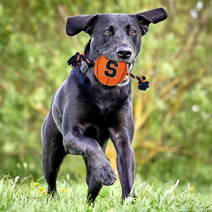 NCAA Syracuse Orange Basketball Rope Toy for Dogs & Cats. Tough Nylon, Sporty Basketball Design, Heavy-Duty Ropes with Inner Squeaker