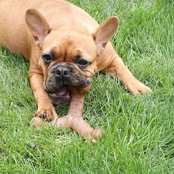 Chew King by Mammoth Dog Bacon Lovin’ Wishbone, Nylon Bones, Textured Bacon Flavored Chew Toy, for All Breed Sizes