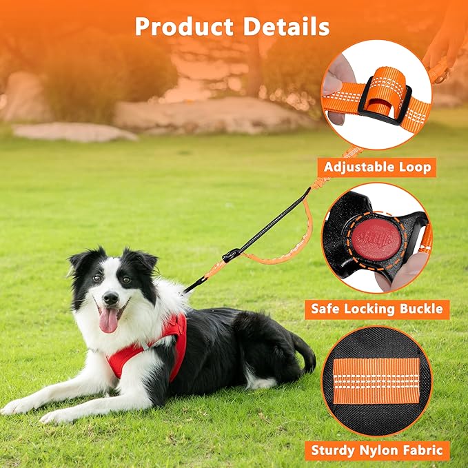 Hands Free Dog Leash with Zipper Pouch, Running Waist Leash for Dog Walking, Adjustable Waist Belt for Large Dogs, Reflective Bungee Design with Two Handle for Hiking, Training, Orange