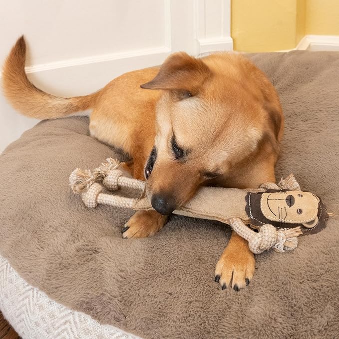 SPOT Dura-Fused Leather Jungle Animals - Dog Toy with Squeakers and Rope Limbs, Real Leather and Jute Chew Toy, Durable No-Stuffing Toy for Light to Moderate Chewers - 14in, Assorted Styles, 1 Piece