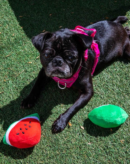 Glow Pups Dog Toy Watermelon 2-Pack for Small Dogs, Plush Squeaky Dog Toys for Small Dogs, Fun Cute Design, Promotes Mental Stimulation, Keeps Puppy Entertained, Playful Peach