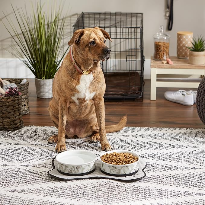 Bone Dry Pet Bowl Collection Ceramic Set, Large, Marble, 2 Count, White