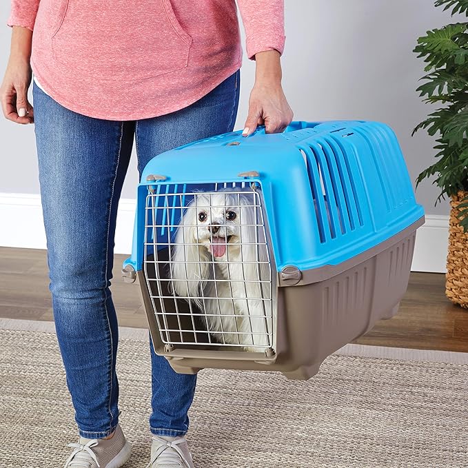 MidWest Homes for Pets Spree Travel Carrier - Hard-Sided Dog & Cat Carrier, Small Pet Travel Crate with Handle, Ventilated Design, Easy Assembly, 24-Inch, Blue