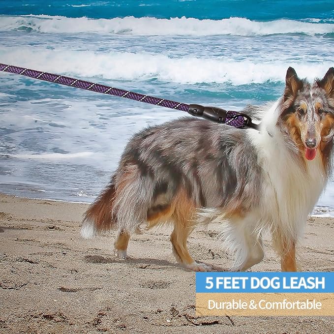 BAAPET 2/4/5/6 FT Dog Leash with Comfortable Padded Handle and Highly Reflective Threads for Small Medium and Large Dogs (5FT-1/2'', Black Purple)