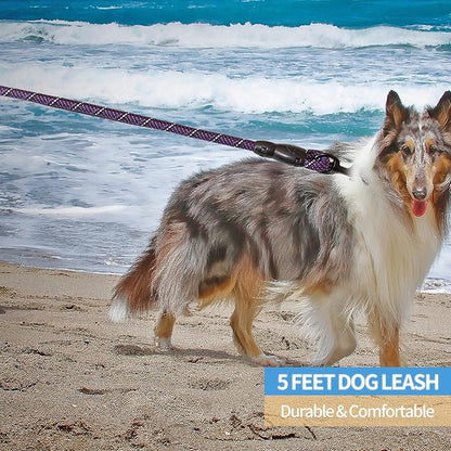 BAAPET 2/4/5/6 FT Dog Leash with Comfortable Padded Handle and Highly Reflective Threads for Small Medium and Large Dogs (5FT-1/2'', Black Purple)