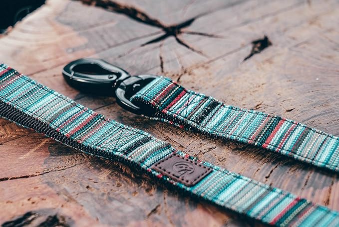 Embark Adventure Dog Leashes - Colorful, Strong, and Sturdy Dog Leash for Small, Medium, and Large Breed Dogs (Boho, 5 Ft)