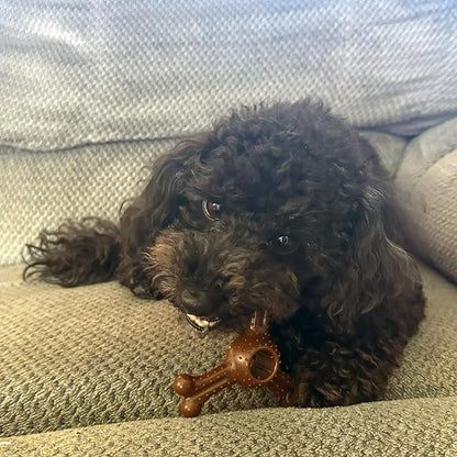 SPOT Bam-Bones Plus Triple Chew Dog Toy, Durable Bamboo Fiber & Nylon, for Aggressive Chewers, Adult Dogs & Teething Puppies Under 30lbs, 4in, Bison Flavor