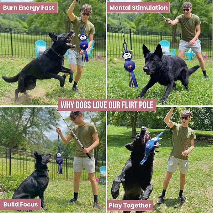 Flirt Pole for Dogs Heavy Duty - Multi-Sensory Tough Chase Toy for Medium & Large Breeds – Extra Strong 35" Dog Teaser Wand for Backyard Play, Training and Interactive Fun (Raccoon)