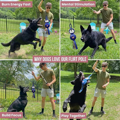 Flirt Pole for Dogs Heavy Duty - Multi-Sensory Tough Chase Toy for Medium & Large Breeds – Extra Strong 35" Dog Teaser Wand for Backyard Play, Training and Interactive Fun (Raccoon)