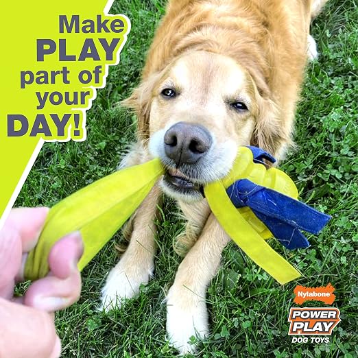 Nylabone Power Play Crazy Ball Interactive Play Toy, Fetch Ball Toy for Dogs, Large (1 Count) - Image 3