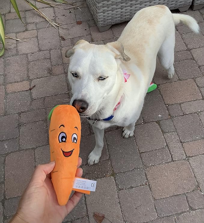 Glow Pups Carrot Shaped Plush Dog Toy, Dog Toy with Squeaker for Small and Medium Size Dogs (Carrot)