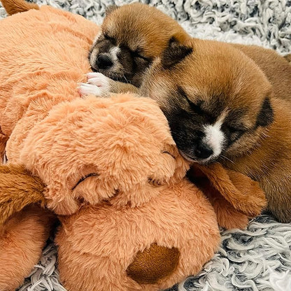 Snuggle Puppy Original Heartbeat Puppy Toy with Real-Feel Pulse & Heat Pack, Plush Dog Comfort Toy for Crate Training, First Nights & New Puppy Transition - Biscuit