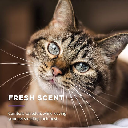 Wet Ones for Pets Freshening Multipurpose Wipes for Cats with Aloe Vera, Fresh Scent - Easy to Use Cat Cleaning Wipes for Pet Grooming in Canister, 50 Count - 12 Pack