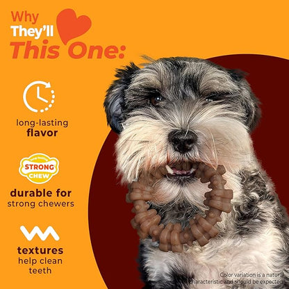 Nylabone Strong Chew Textured Ring Dog Toy Made with Real Beef & Chicken, Durable Chew Toys for Aggressive Chewers, Long Lasting Dog Bone, Keeps Dogs Busy, Small Breeds - Up to 25 lbs