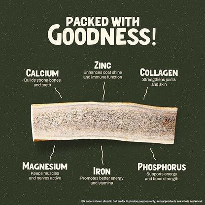 Heartland Elk Antlers for Dogs - Daily Dental Care Chews for Aggressive Chewers to Reduce Plaque & Prevent Destructive Behavior (Whole, Splinter Free, 5-6", Medium, 1-Pack, Grade A, USA Made)