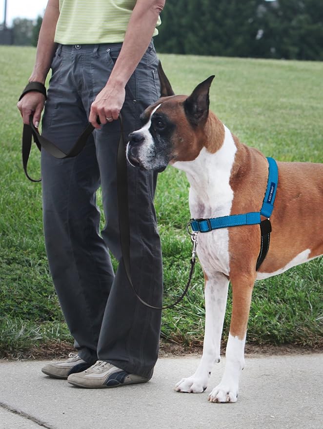 PetSafe Deluxe Easy Walk Harness - Trainer-Trusted Dog Chest Harness with Breathable Martingale Loop Design - Helps Stop Pulling with No Choking & Gagging - Small - Ocean