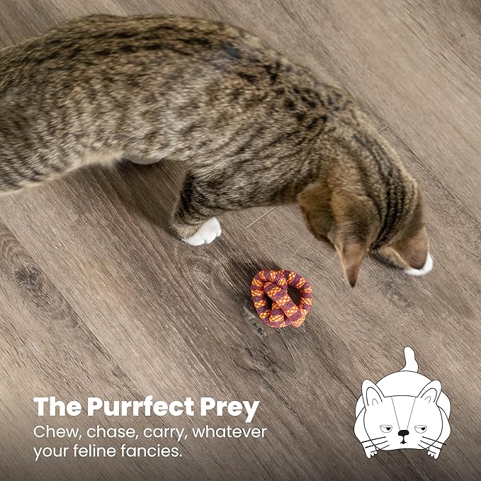 Catstages Plaque Away Pretzel Cat Toy – Interactive Catnip Dental Chew Toy to Help Clean Teeth, Fun for Play and Chewing, Orange (Pack of 2)