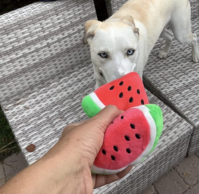 Glow Pups Dog Toy Watermelon 2-Pack for Small Dogs, Plush Squeaky Dog Toys for Small Dogs, Fun Cute Design, Promotes Mental Stimulation, Keeps Puppy Entertained, Playful Peach