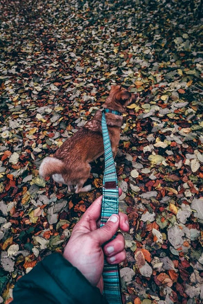 Embark Adventure Dog Leashes - Colorful, Strong, and Sturdy Dog Leash for Small, Medium, and Large Breed Dogs (Boho, 5 Ft)