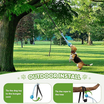 Dog Bungee Toy for Small/Medium Dogs,Interactive Dog Tug of War Toys Set with Tether, Rope and Ball, Tree Hanging Toy,Indoor Dog Rope Toy,Not for Aggressive Chewers