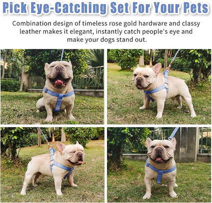 Soft Leather No Pull Dog Harness - Adjustable Step in Dog Harness with Rose Gold Heavy Duty Metal Buckle, Freedom Nylon Dog Halter Vests for Small Medium Large Dogs Easy Walking Training (Purple,S)