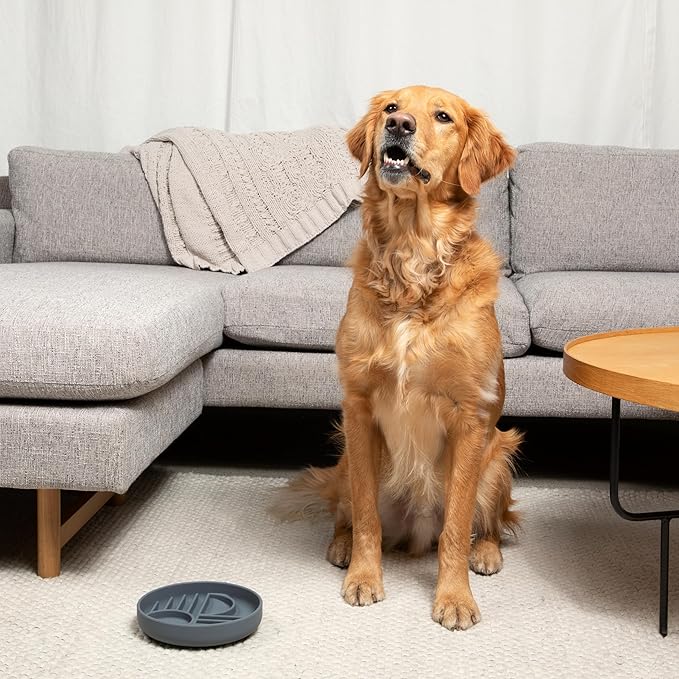 Should We Go? Slow Feeder for Dogs & Puppies, The Slowdown Bowl Silicone Slow Eating, Modern Lick Mat Design, Reduces Gulping, Fits 2 Cups, 7.5” Across x 1.5” Tall, Mealtime Challenge, Medium-Sage