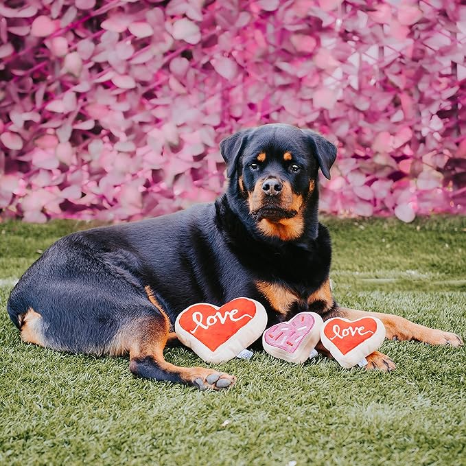 Midlee Pink Heart Sugar Cookie Plush Valentine's Dog Toy- Small Stuffed Present