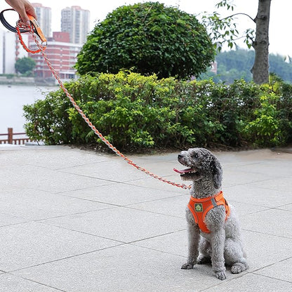 Chain Dog Leash Chew Proof Metal Leash for Medium Large Dogs, Chain Link Dog Anti Chew 5.2FT / 4FT Strong Anti Bite Comfortable Soft Padded Handle (red, 5FT(5-30lb))