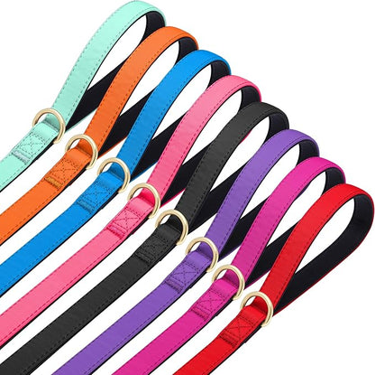 Didog 5FT Colorful Nylon Dog Leash with Soft Full-Length Padding, Lightweight and Durable Pet Leash for Small Dogs, Red, S