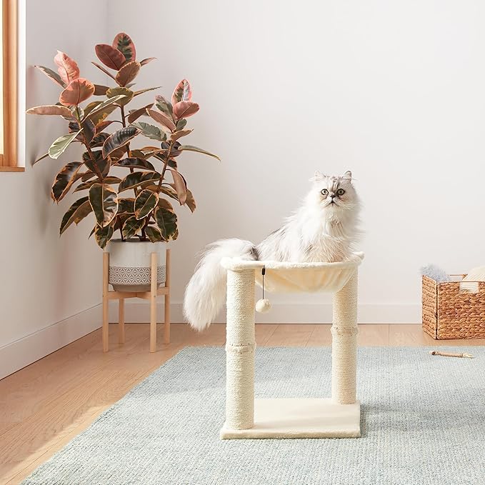 Amazon Basics Cat Tower with Hammock Bed and Scratching Post for Indoor Cats, Easy to Assemble, Interactive Hanging Ball, 15.8" x 15.8" x 19.7", Beige