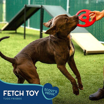 Scout Tugg Frisbee - Dog Toy for Tugging, Chewing & Fetch - Aggressive Chew Toy for Medium & Large Dogs