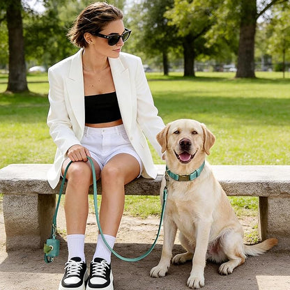 Didog Soft PU Leather Dog Collar, Stylish Quick Released Dog Collar for Large Dogs, Easy Clean Adjustable Pet Collar for Daily Walking, Green, L Fit 16-22" Neck