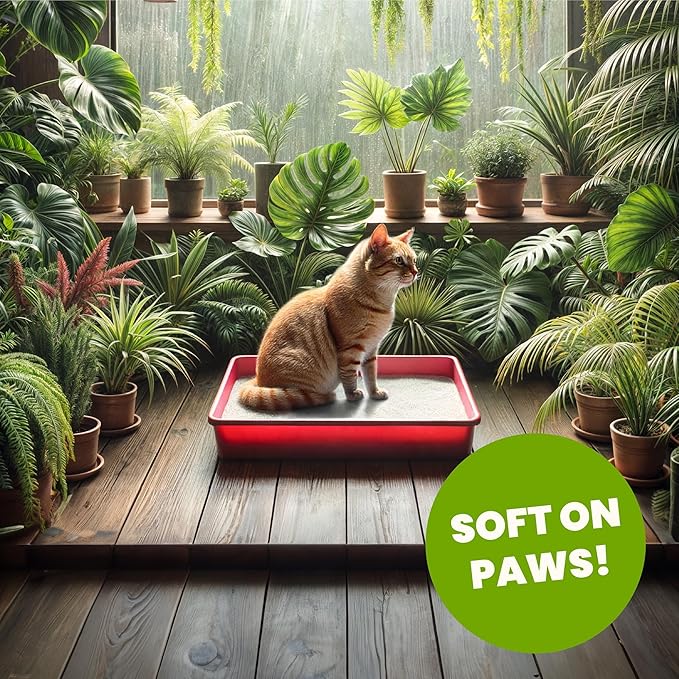 Almo Nature Soft Texture Cat Litter 10 lbs - Plant-Based, Clumping, Biodegradable, Non-Toxic, Compostable, Eco-Friendly, Odor Control, Low Dust, Safe for Cats & Kittens