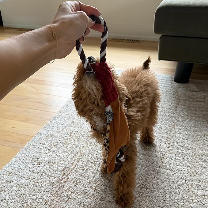 SPOT Skinneeez Tugs Mini Duck Tug Dog Toy – 14" Stuffing-Free Plush Toy with Rope Handle & Squeaker – Durable Tug Toy for Small & Medium Dogs, Moderate Chewers, Assorted Styles