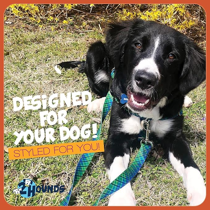 2 Hounds Design - Freedom No-Pull Harness & Training Leash in Green and Blue | Dual Leash Loops, No Pulling on Walks | Lined to Prevent Chaffing | for Large Sized Dogs (Size M, Chest 24”- 28”)