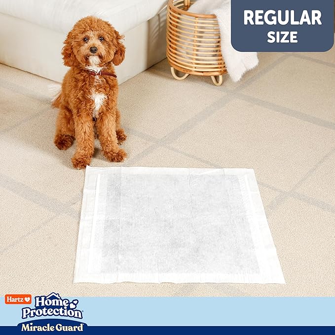 Hartz Miracle Guard Dog and Puppy Dog Pads Max Absorbency 24 Hour Use Odor Eliminating No Leaks, Regular Size 50 Count