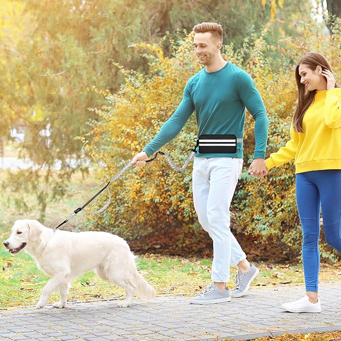 Hands Free Dog Leash with Zipper Pouch, Running Waist Leash for Dog Walking, Adjustable Waist Belt for Large Dogs, Reflective Bungee Design with Two Handle for Hiking, Training, Grey