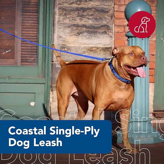Coastal Pet Single-Ply Dog Leash - Sturdy Pet Leash - Comfortable & Stylish - Resists Fraying - Vibrant & Fade-Resistant Color - Blue, 5/8" x 6'