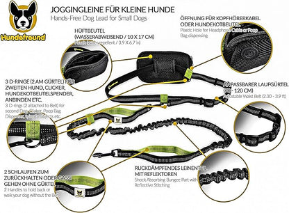 Hundefreund Hands-Free Leash for Small Dogs Under 30 lbs – Lightweight Waist Leash with Soft Bungee (43–63"), Padded Belt (26–47") & Pouch – Dual Handles, Reflective Stitching for Walking & Jogging