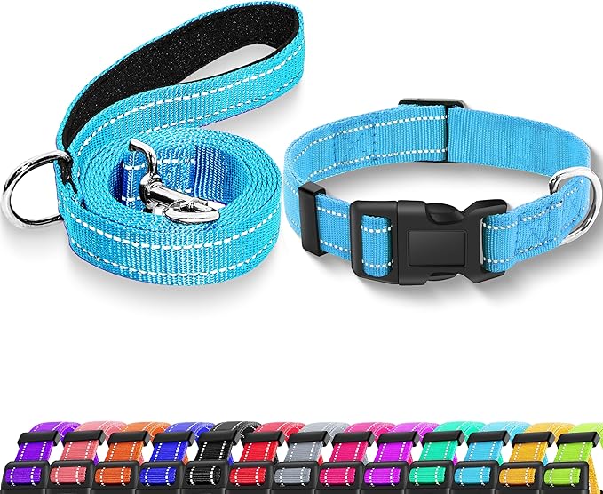 Reflective Dog Collar with Safety Locking Buckle, Adjustable Soft Breathable Nylon Collars for Small, Medium and Large Dogs(Collar+Leash XS Width 3/8" Sky Blue)
